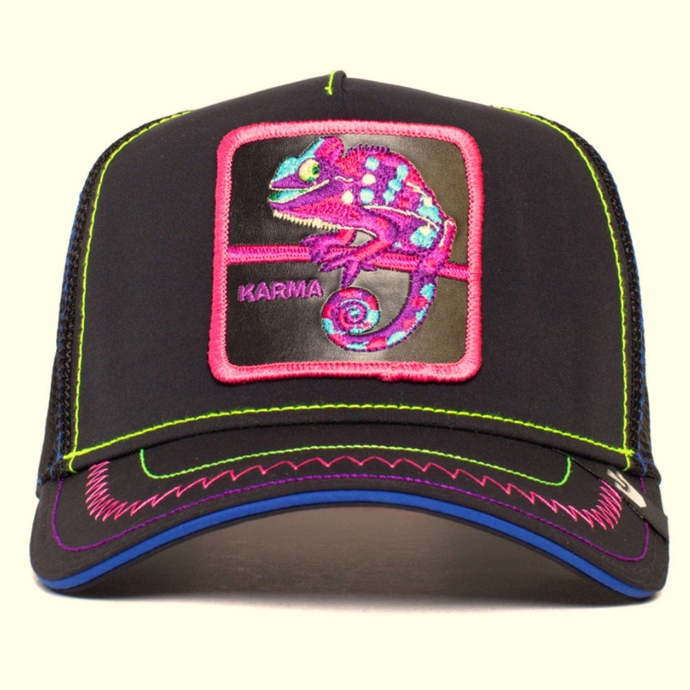 Limited Edition Goorin Brothers CHAMELEON Trucker Hat (Drip Capsule)